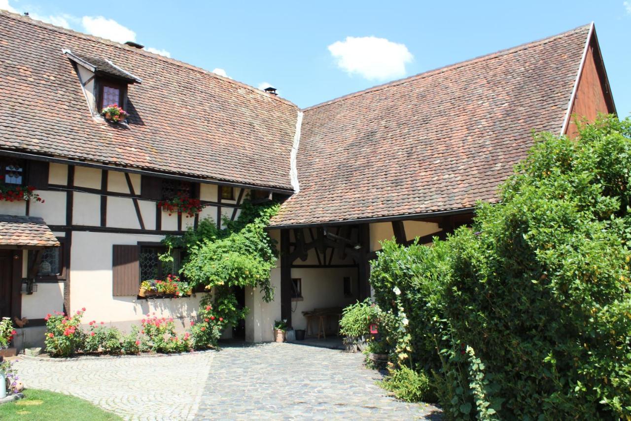 B&B La Tete Dans Les Etoiles Weyersheim Dış mekan fotoğraf